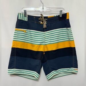 Patagonia Wavefarer Board Shorts Mens Size 34 Fitz Striped Swim Trunks